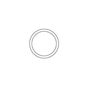 O-Ring, System 1/E Endoscope Washer Part: 450621/RPO450